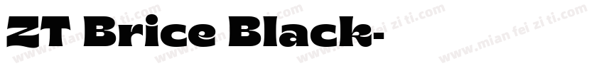 ZT Brice Black字体转换